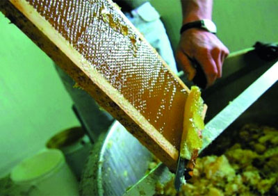 Une quinzaine d'apiculteurs au 2e Salon du miel et dérivés mellifères