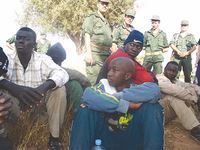 Des frontières sud-est à Maghnia