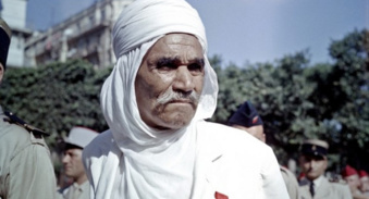 Sur les traces d'un Harki