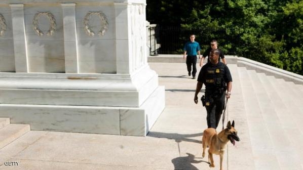 كلبا البيت الأبيض المصابان يعودان للعمل