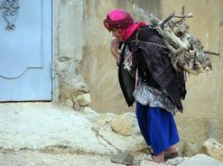 سكان قرى عين السبت بسطيف يلجأون للاحتطاب لأجل التدفئة