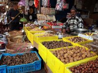 Une tradition bien ancrée