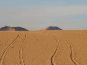 Sahara : c'est quoi L'ERG