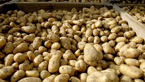 Afin de faire baisser son prix