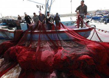 صيادو تيبازة في حالة طوارئ