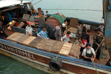 الصيادون في تيبازة يباشرون حملة بحث عن رفاقهم المفقودين