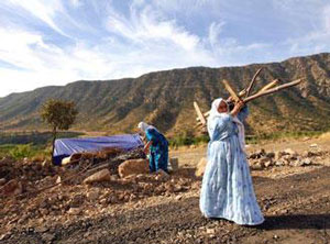 شتاء قارس والحطب للطهي و التدفئة بأرياف تيارت