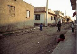 تنمية غائبة وظروف معيشية صعبة بقرية واد القصب في سكيكدة