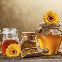 Le pollen et le miel : aliment miracle