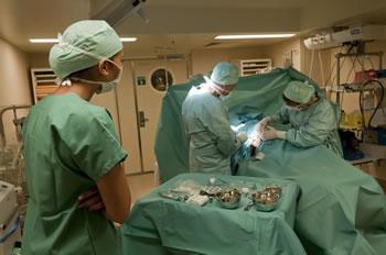 Les ravages d'un mal silencieux