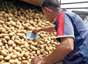 رغم احتلال معسكر المرتبة الرابعة وطنيا في الإنتاج