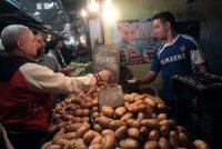 Le prix du tubercule connaît une courbe descendante