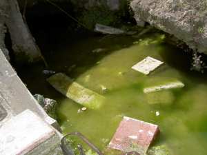 Saccage du Parc de La Liberté-De Galland (suite 2)