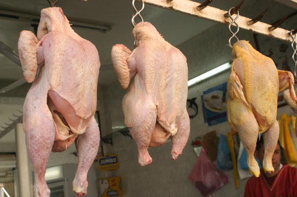 السماسرة يتحكمون في سوق اللحوم البيضاء