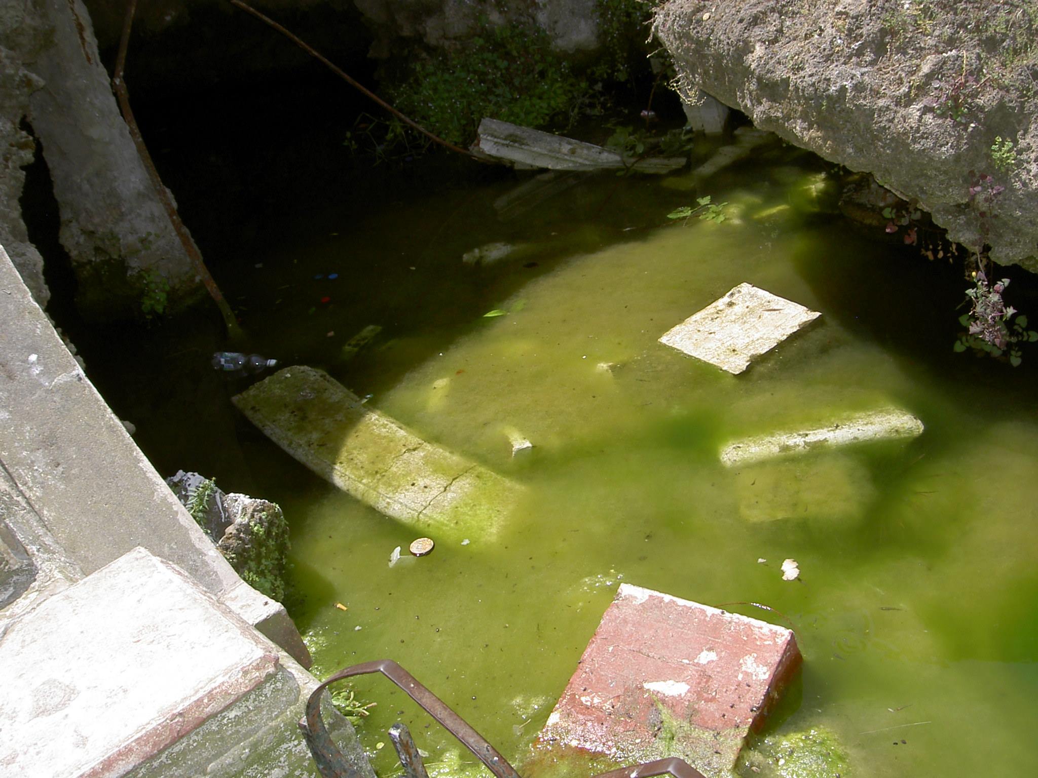 Saccage du Parc de La Liberté-De Galland (suite 2)