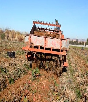 تهيئة 11 محيطا فلاحيا لشباب إيليزي