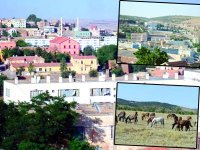 Refuge d'Ibn Khaldoun et royaume du cheval