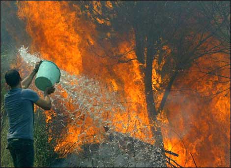 النيران تأتي على 50 هكتارا من الغابات خلال يومين ببجاية