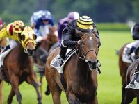 Difficile, le pronostic !