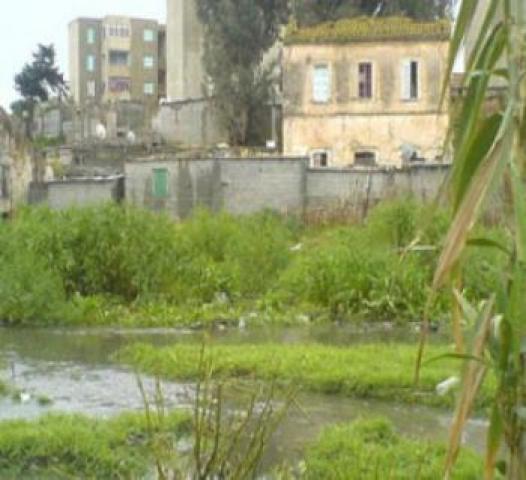 سكان حي الزحلوقة بالرغاية متخوفون من فيضان الوادي