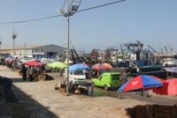 Aucune trace des disparus