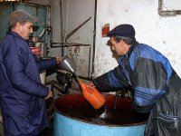 Une récolte attendue de 60.000 à 70.000 tonnes