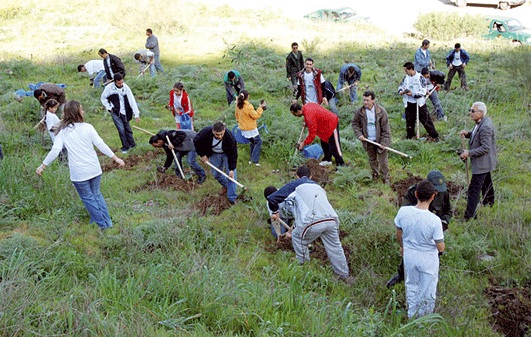 مليون شجرة لتنقية الهواء واستعادة الاخضرار في الجزائر