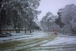 البيض تحتل المرتبة الأولى وطنيا من حيث البرودة