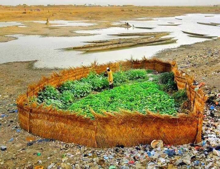 الهمة ........................ توصل للقمة