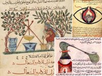 Une place à conquérir