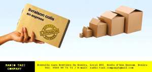 TRANSPORT DE COLIS URGENTS