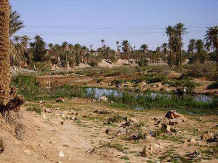Necib lors de sa visite à Béchar