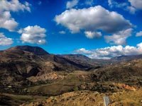 Biodiversité, protection des milieux naturels et écodéveloppement en débat