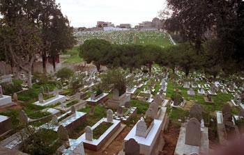 Trois millions de morts... 