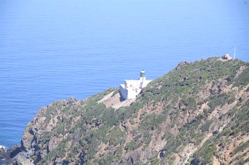 البحر يلفظ 31 كلغ من المخدرات بجيجل