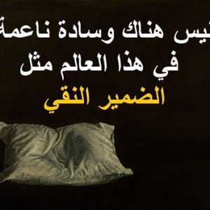 Vérités sur le grenouillage boulitique partisan en Tunisie.