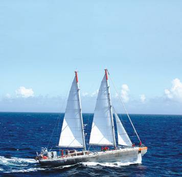 Du plastique dans nos assiettes '