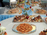 Une muse nommée télévision