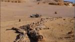 اكتشاف عظام ديناصورات في تمنراست؟