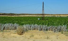 127 ألف هكتار بورقلة لتجسيد استثمارات صناعية وفلاحية