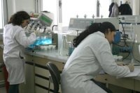 Un potentiel marginalisé en Algérie