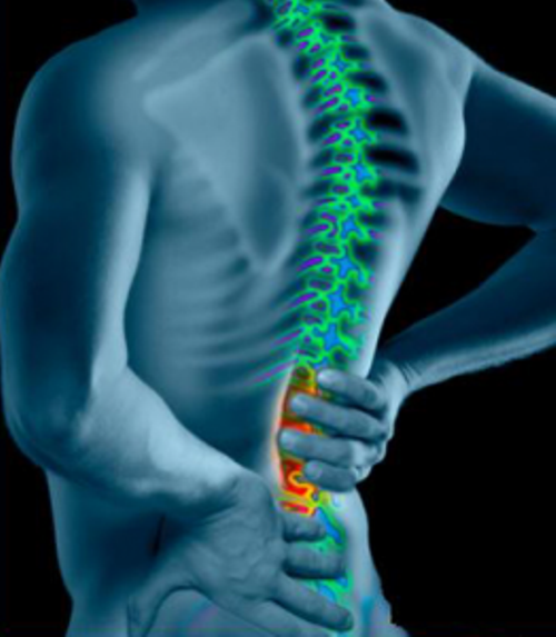 تعد الأولى وطنيا أجريت بالمؤسسة الإستشفائية بن زرجب بعين تموشنت