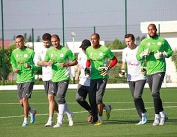 Les Verts à pied d'oeuvre