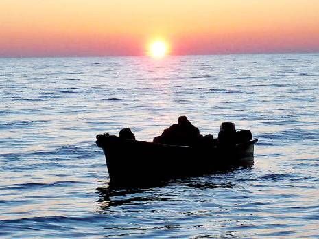 2014 est l'année la plus meurtrière depuis 20 ans