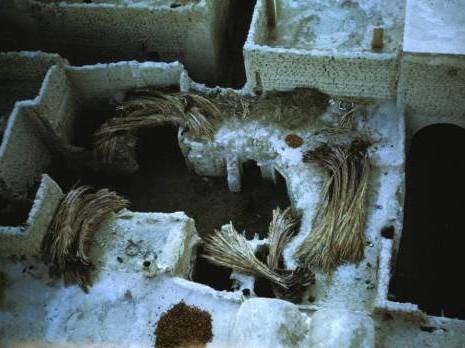 La foire de l'artisanat traditionnel promet des surprises