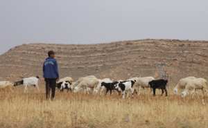 لقاء صلح بين عرشين متنازعين على أرض بين البيَّض والأغواط