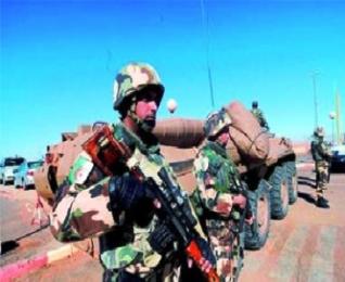 Douze terroristes mis hors d'état de nuire par l'Armée