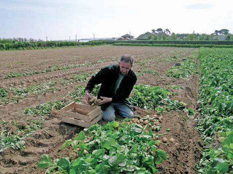Parcours de deux battantes