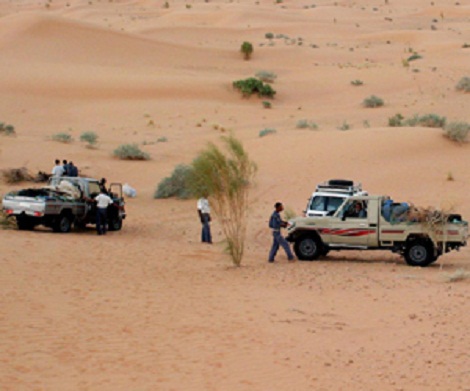 توقيف 12 مهربا وتاجر مخدرات بتمنراست وتندوف