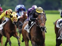 18 inedits pour une arrivee pochette surprise